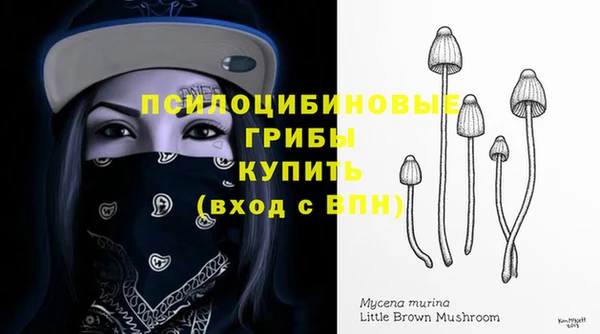 гидропоника Балабаново