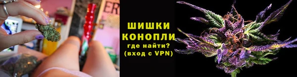 гидропоника Балабаново