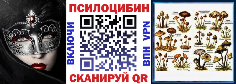 Псилоцибиновые грибы Cubensis  Баксан 